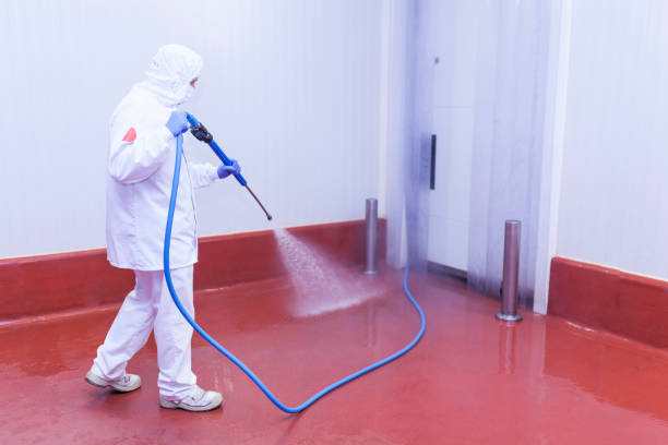 Best Graffiti Removal  in Muldrow, OK